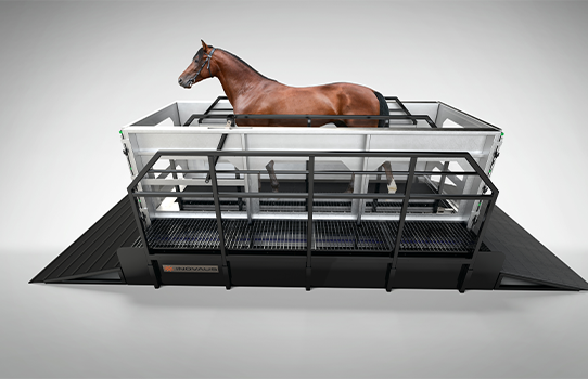 Inovaus | Equine | Equine Treadmill Normal Position