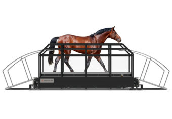 Inovaus | Equine | Dry Horse Treadmill-04