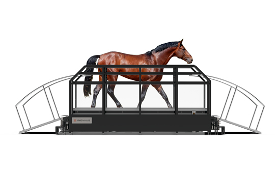 Inovaus | Equine | Dry Horse Treadmill-04